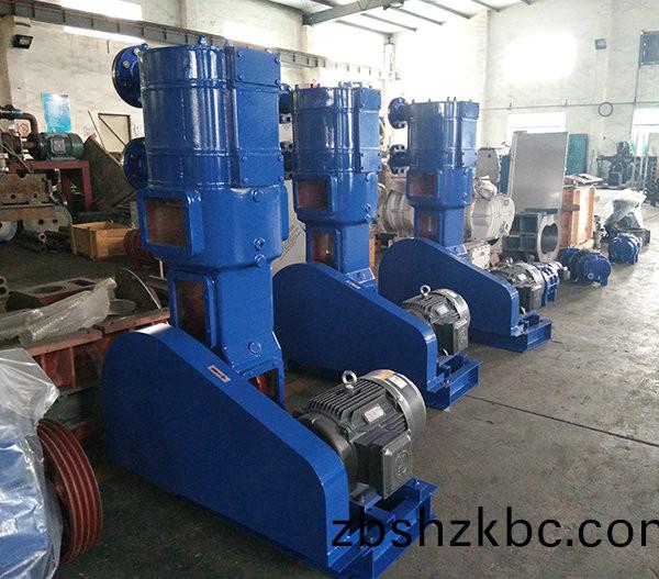 化(hua)工(gong)防(fang)腐(fu)真(zhen)空(kong)泵(beng)